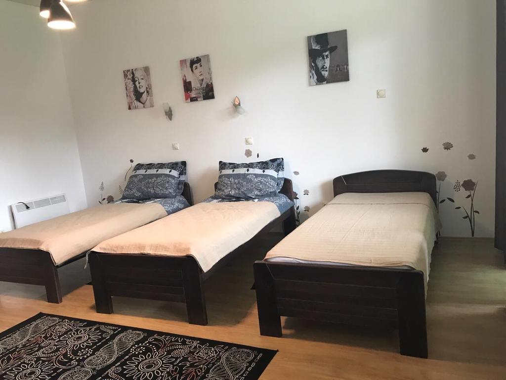 זלאטיבור Felix Apartment מראה חיצוני תמונה